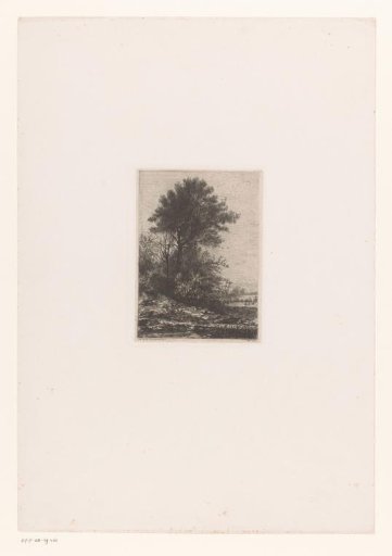 Hilly landscape with a tall tree and a church in the background