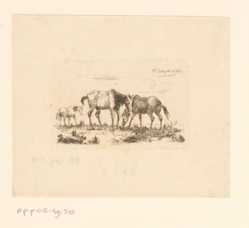 Three horses