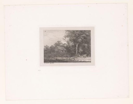 House on a hill at the edge of a forest
