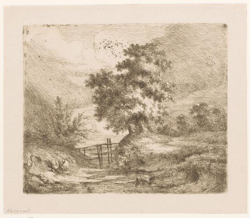 Landscape with a wooden bridge over the water
