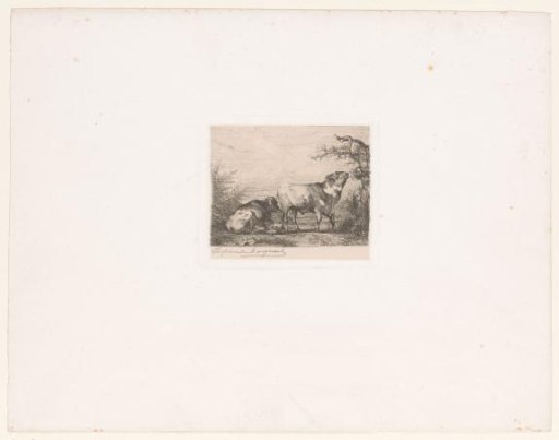 Landscape with Two Cattle and Ducks