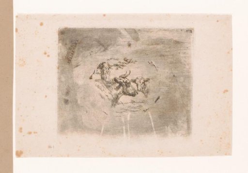 Head of a Cow and a Calf