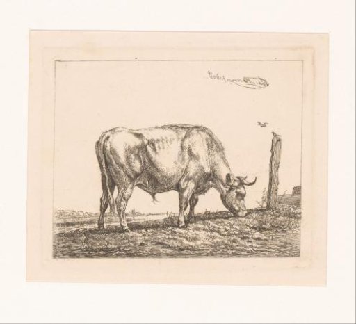 Cow by a Post with a Bird on It