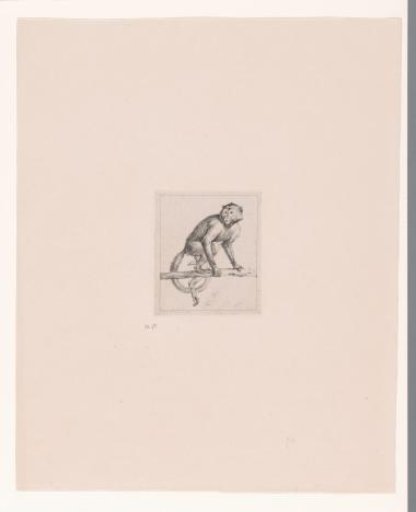 Monkey