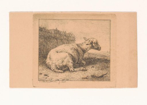 Sheep Lying Before a Wicker Fence