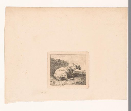 Sheep Lying Before a Wicker Fence