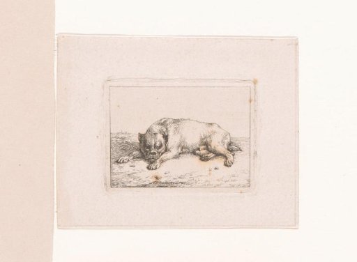 Bulldog