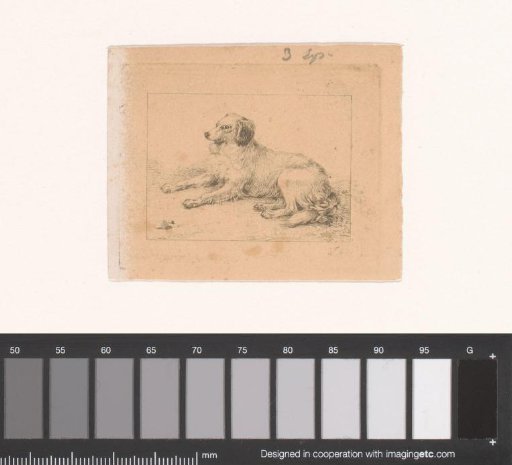 Lying Spaniel