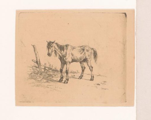 Old Horse