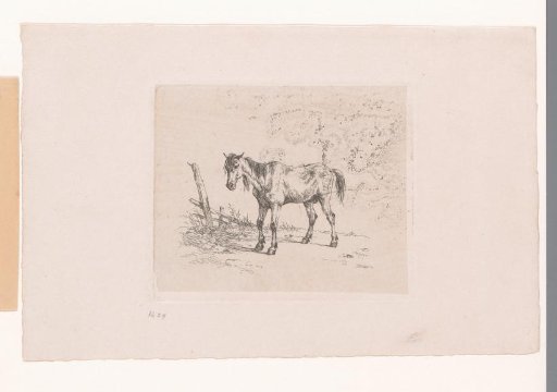 Old Horse