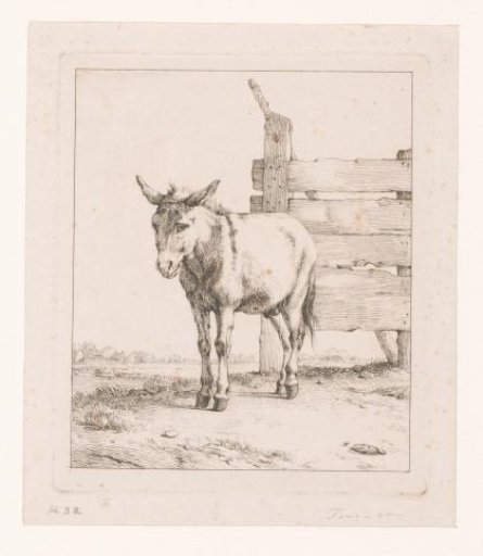 Donkey by a Fence