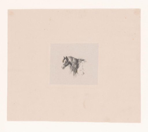 Horse's Head
