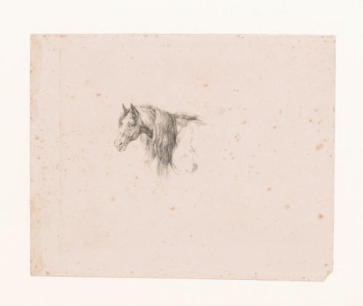 Horse's Head