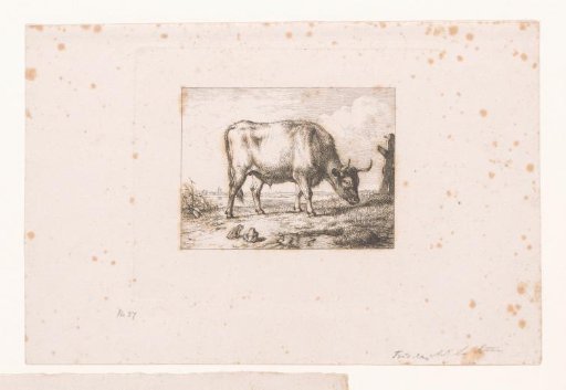 Fable of the Frog Who Wanted to Be as Big as a Cow