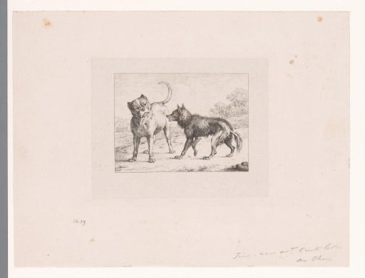 Fable of the Wolf and the Dog