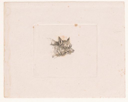 Head of a Wolf