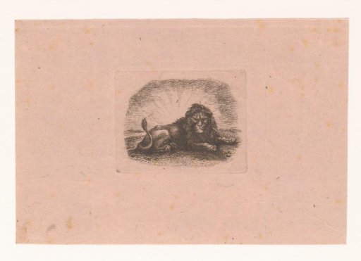 Lion lying down