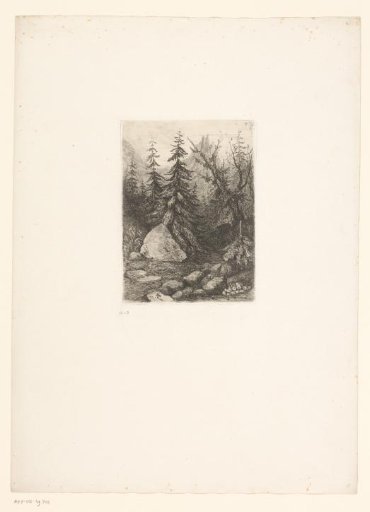 Clearing in a forest with stones