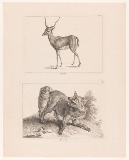 Sheet with two plates: gazelle and fox