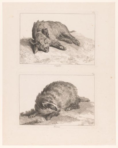 Sheet with two plates: wild boar and badger
