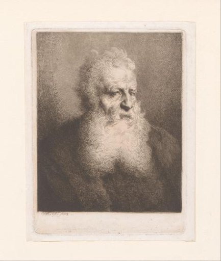 Portrait of an unknown man with a beard
