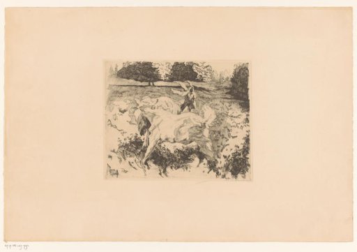 Two goats in a meadow