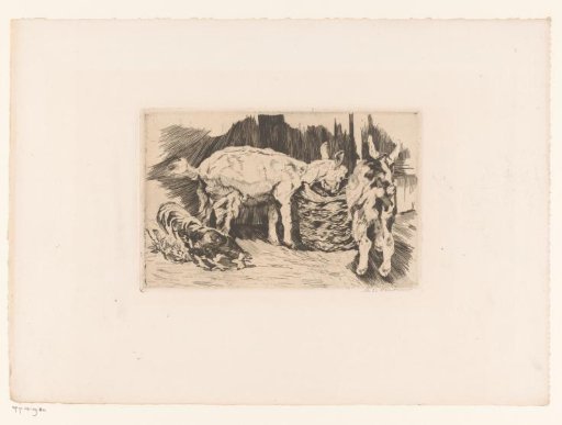 Two goats and a rooster at a basket