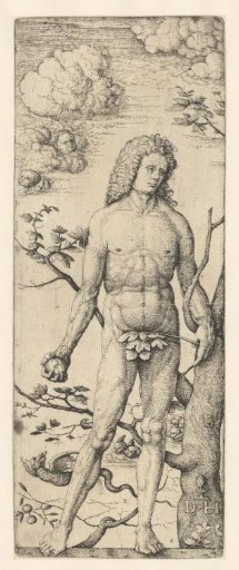 Adam after the Fall