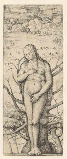Eve after the Fall