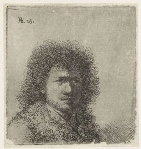 Self-portrait with bushy hair: bust