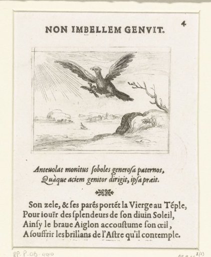 Eagle with Young