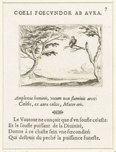 Vulture in the Wind