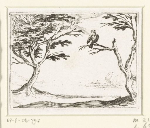 Vulture in the Wind