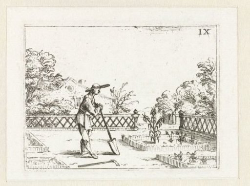 A Gardener Inspecting His Lilies