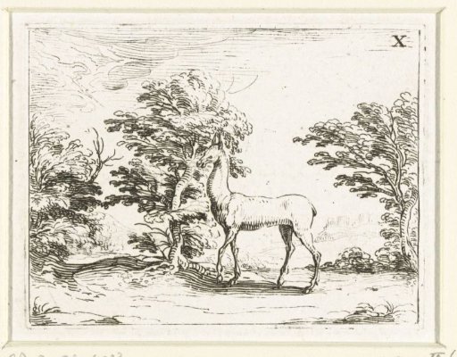 Hind in a Wood