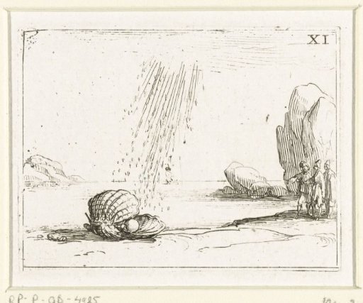 Oyster on a Beach