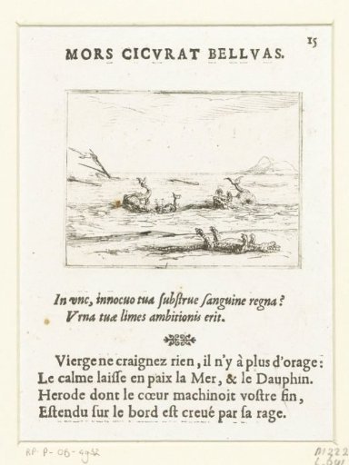 Three Dolphins and a Dead Crocodile
