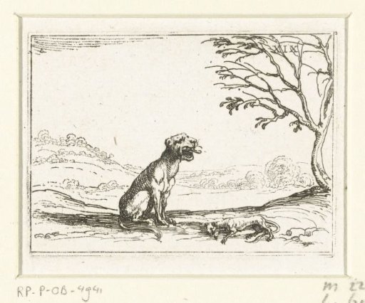 A Lioness Roaring by Her Lifeless Cub