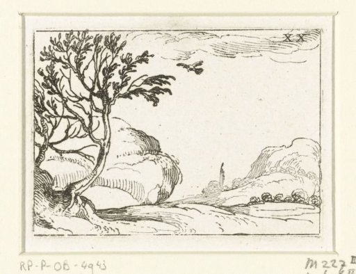 Dove in the Desert