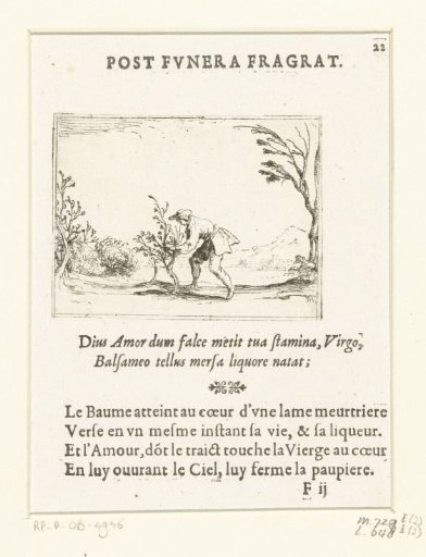 A Man Prunes a Small Tree