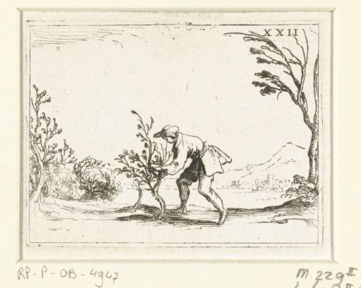 A Man Pruning a Small Tree
