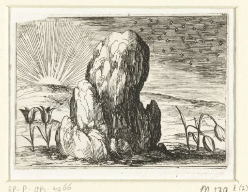 Tulips and the Sun