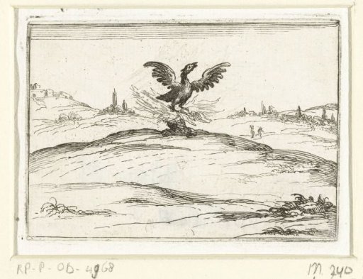 Phoenix in the Fire