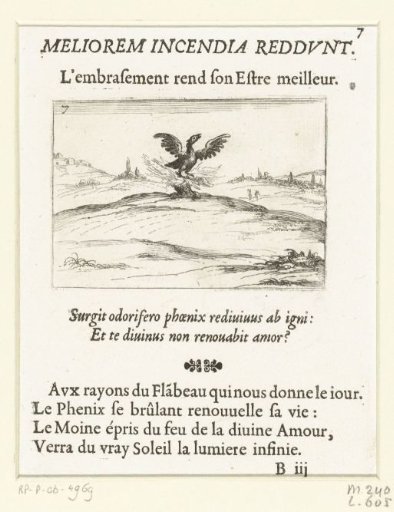 Phoenix in the Fire