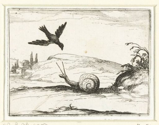 The Snail and the Raven