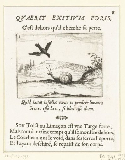 The Snail and the Raven