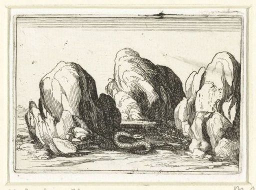 The Shedding Snake