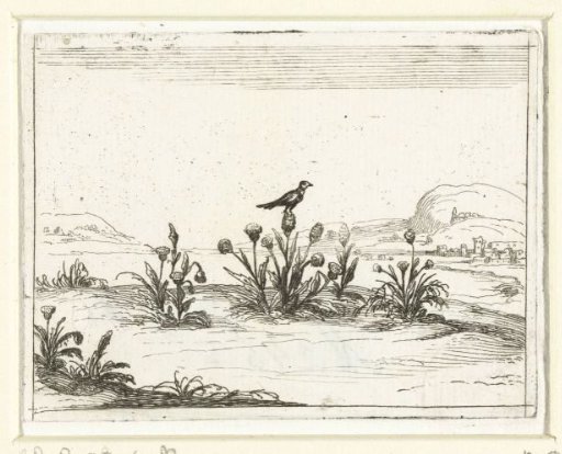 Bird on a Thistle