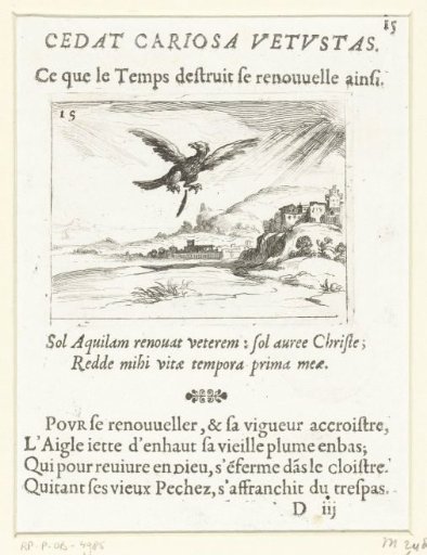 An Eagle Drops an Old Feather