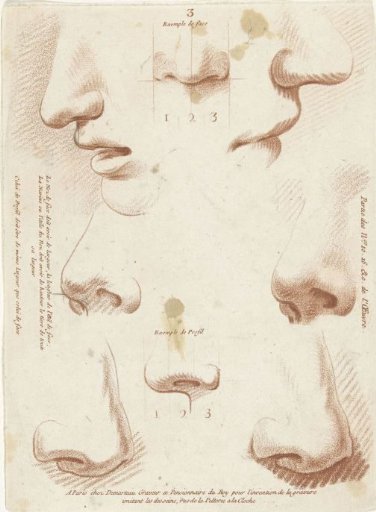 Study sheet with noses and mouths
